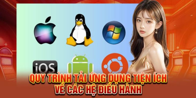Các bước tải ứng dụng NOHU về máy siêu nhanh