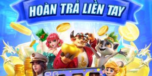 Chính sách hoàn trả NOHU