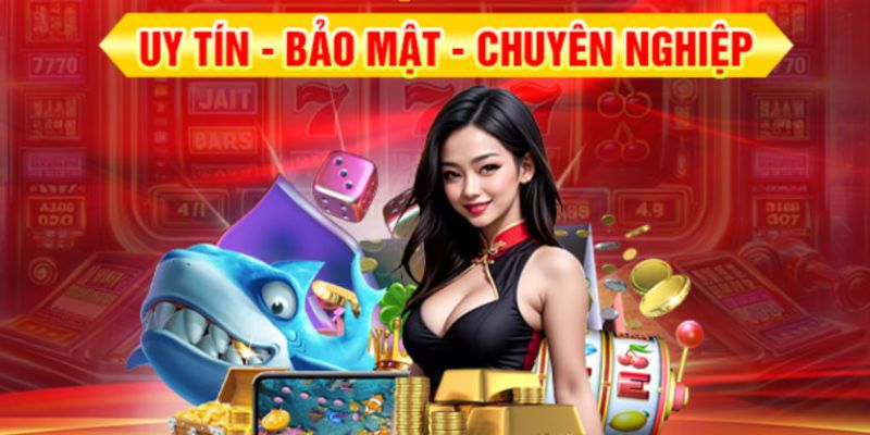 Giới thiệu NOHU về các ưu điểm nổi trội